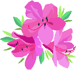 tutuji